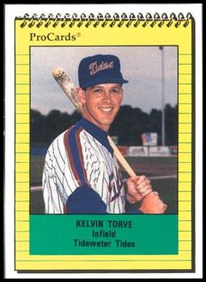 2520 Kelvin Torve